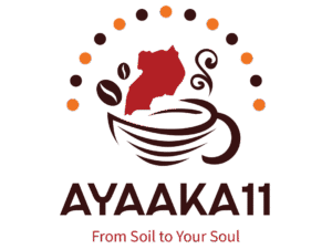 AYAAKA11 Official Dark