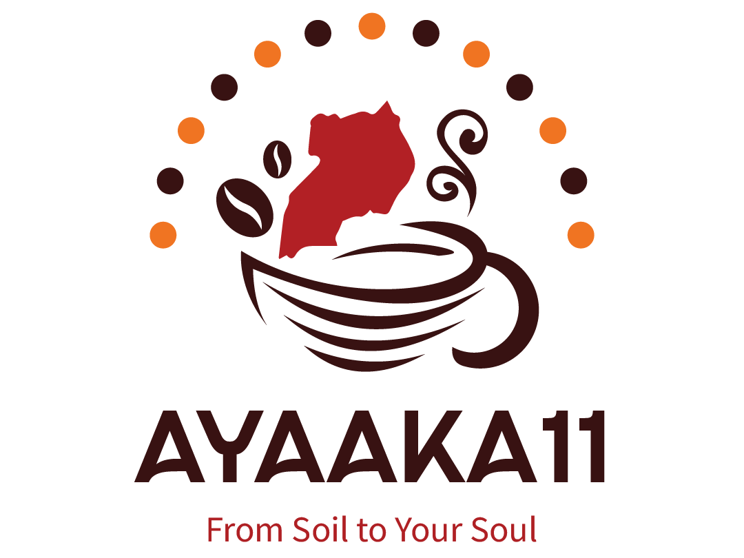AYAAKA11 Official Dark